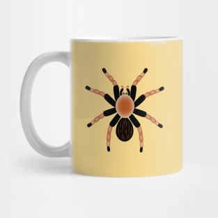 Spider Tarantula Mug